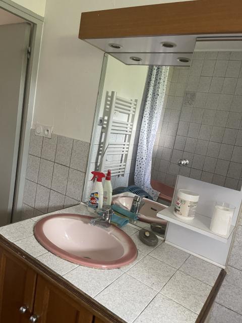 Location appartement T4 St Martin d'Heres - Photo 7