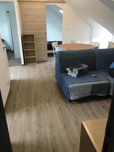 Location appartement T3 Torce Viviers en Charnie - Photo 5
