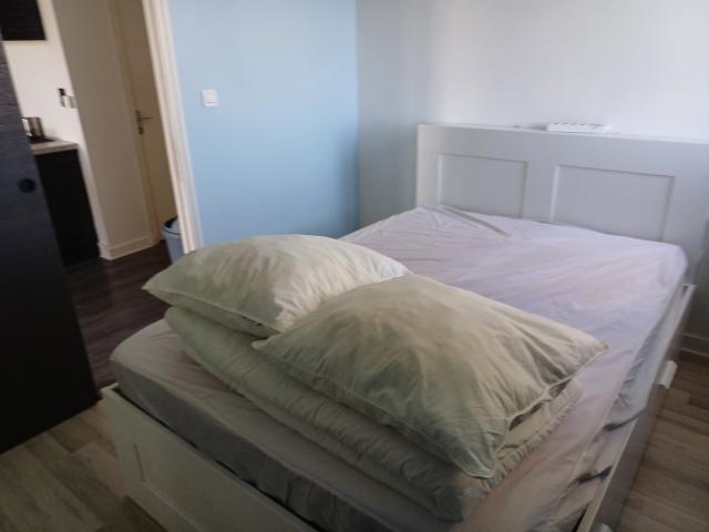 Location appartement T3 Bron - Photo 8