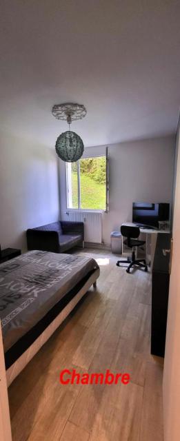 Location appartement T1 St Etienne - Photo 3
