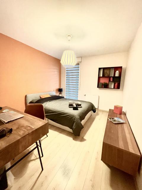 Location appartement T3 Annecy - Photo 5