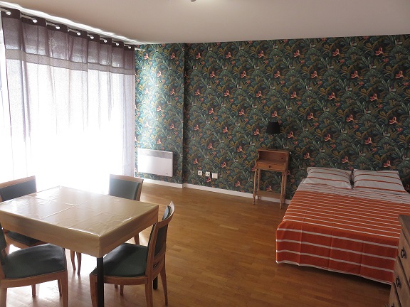 Location studio Lyon 3 - Photo 2