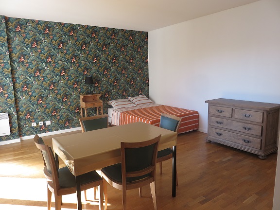 Location studio Lyon 3 - Photo 3