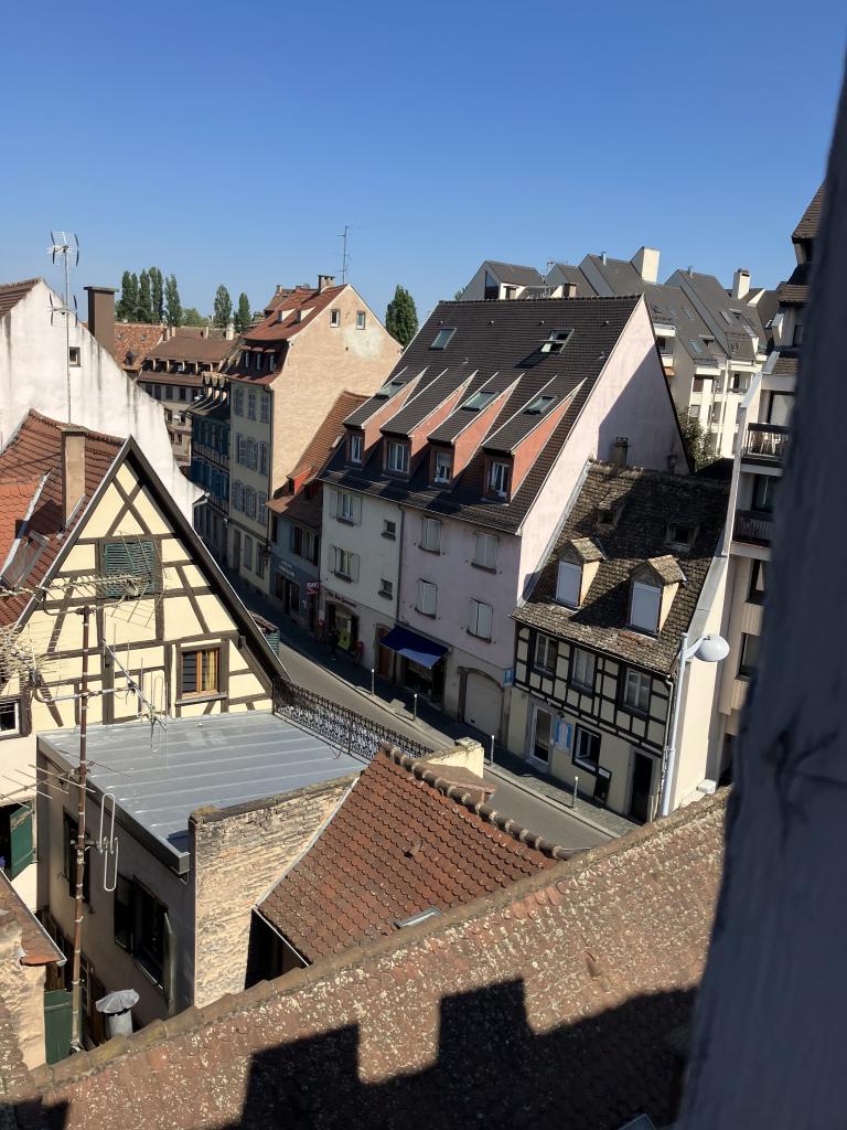 Location chambre Strasbourg - Photo 1