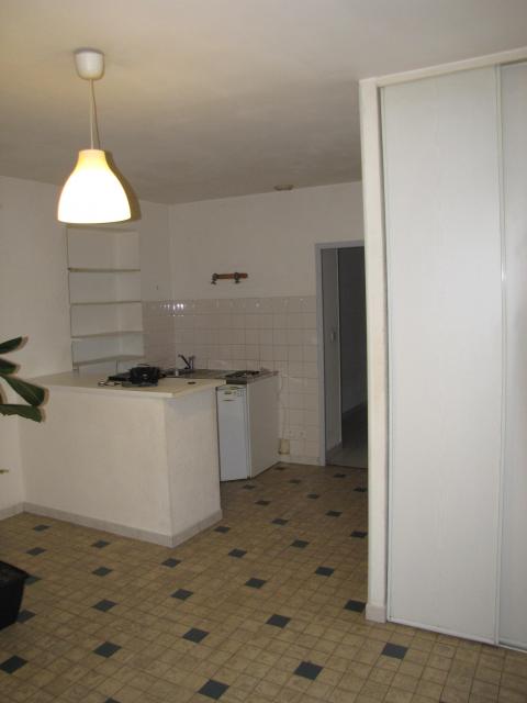 Location appartement T2 Grenoble - Photo 3