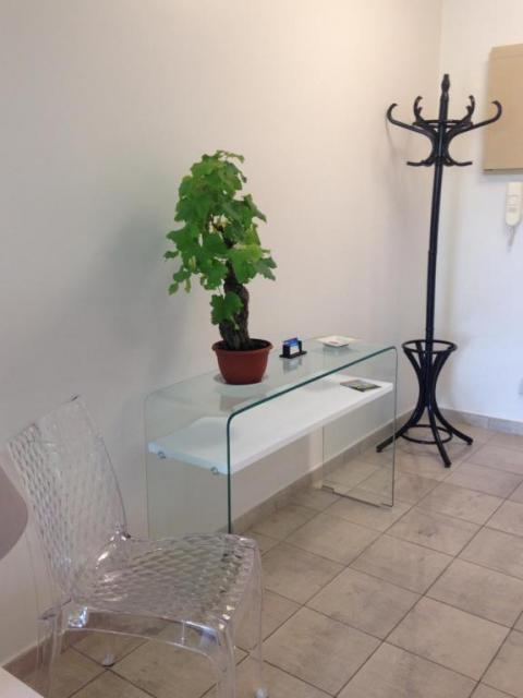 Location appartement T2 Arcachon - Photo 5