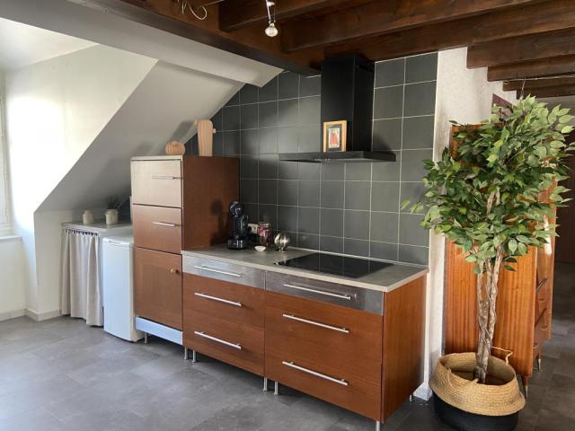 Location appartement T2 Aix les Bains - Photo 4