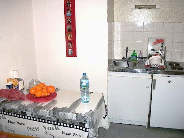 Location appartement T2 Vichy - Photo 3