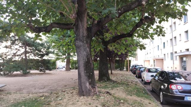 Location appartement T3 Villeurbanne - Photo 8