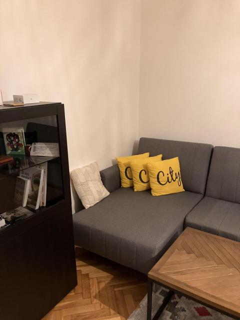 Location appartement T2 Le Kremlin Bicetre - Photo 4