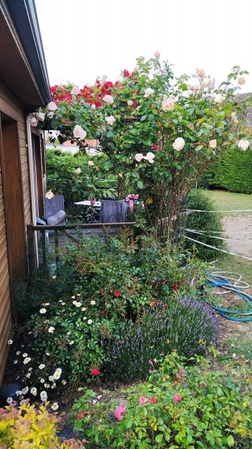 Location chambre Beauval - Photo 2