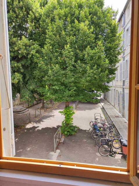 Location maison F3 La Rochelle - Photo 8