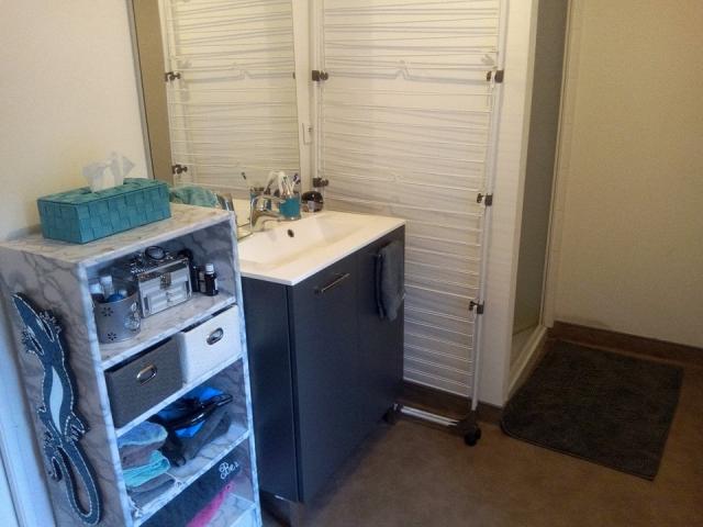 Location appartement T2 Verrieres en Forez - Photo 3
