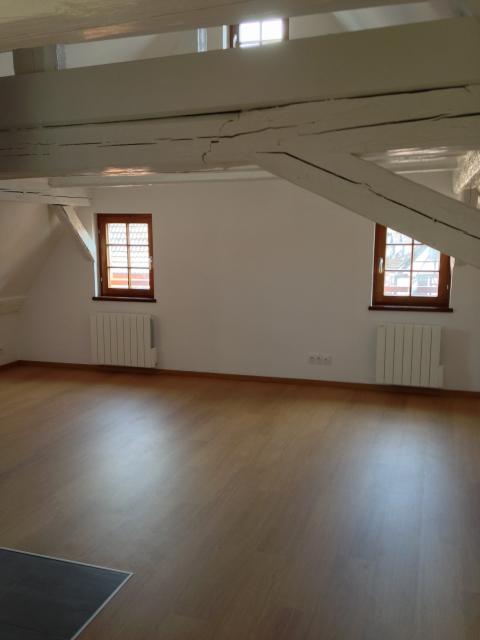 Location appartement T2 Turckheim - Photo 4