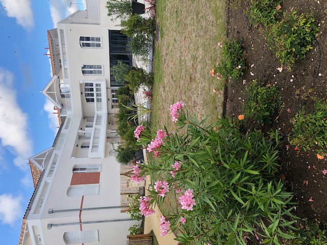 Location appartement T3 Lanton - Photo 2