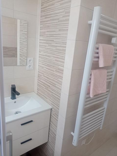 Location appartement T3 Belfort - Photo 3