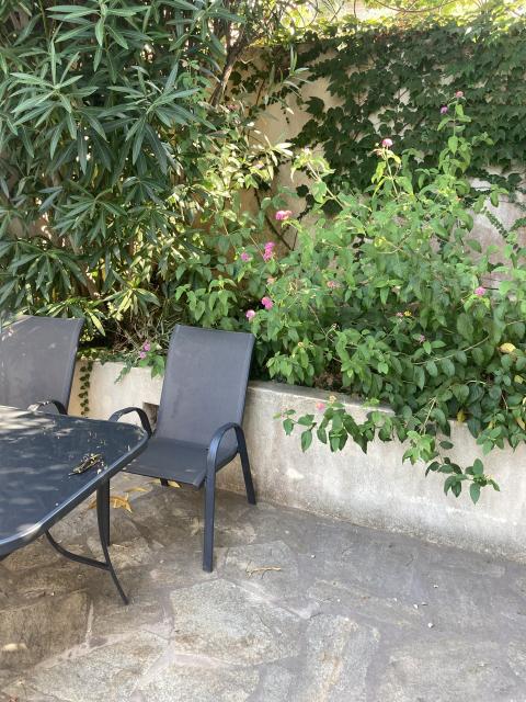 Location appartement T3 Monticello - Photo 3