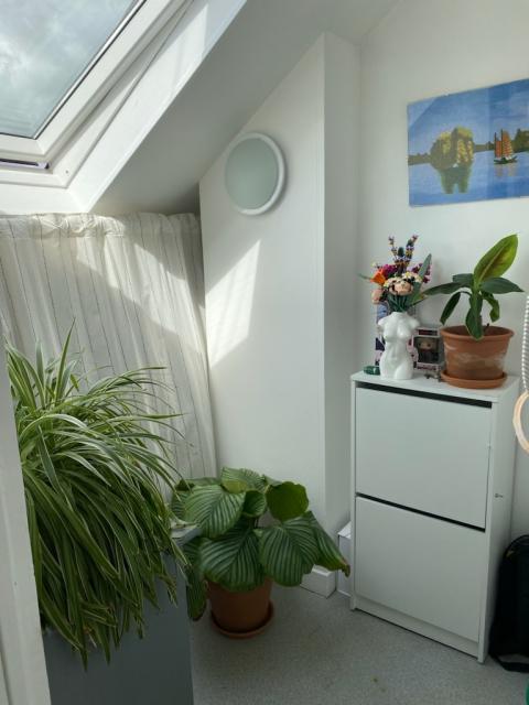 Location studio Lille - Photo 5
