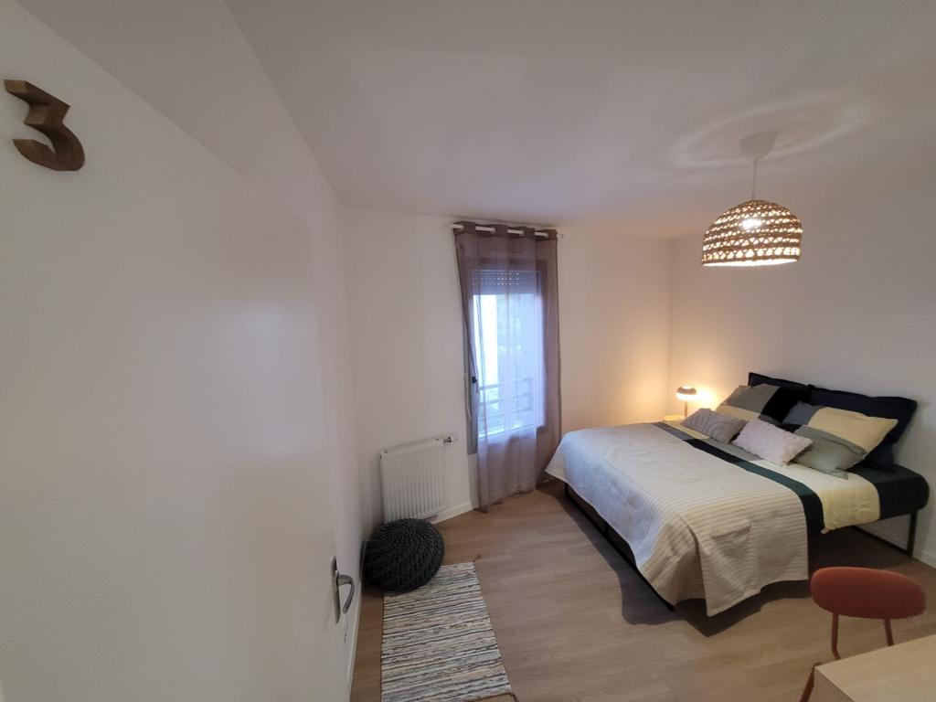 Location chambre Angers - Photo 1