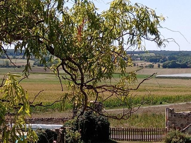 Location chambre St Remy la Varenne - Photo 3