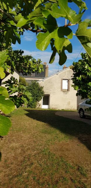 Location maison F2 Chemille sur Deme - Photo 5