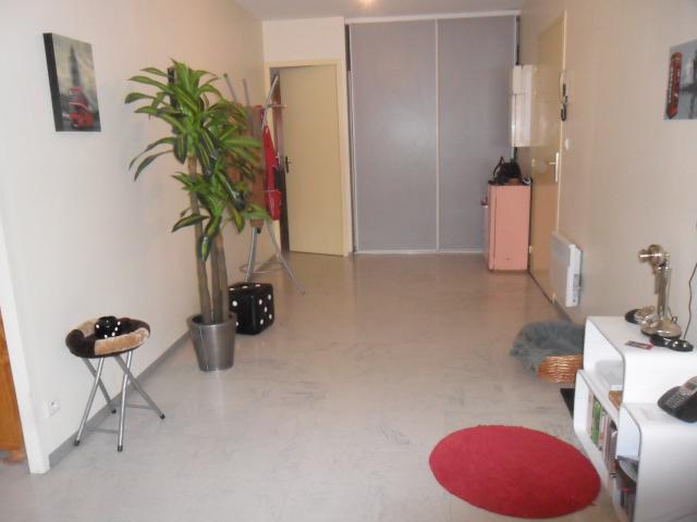 Location appartement T3 St Rambert d'Albon - Photo 6