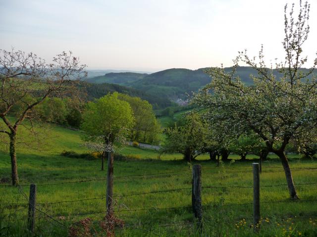 Location maison F4 Thizy - Photo 7