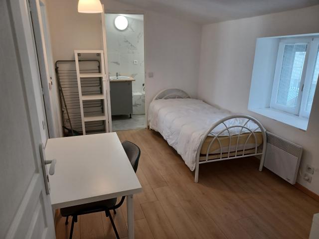 Location appartement T2 St Etienne - Photo 3