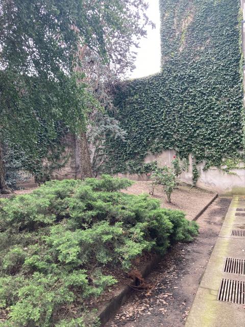 Location appartement T1 Vichy - Photo 3