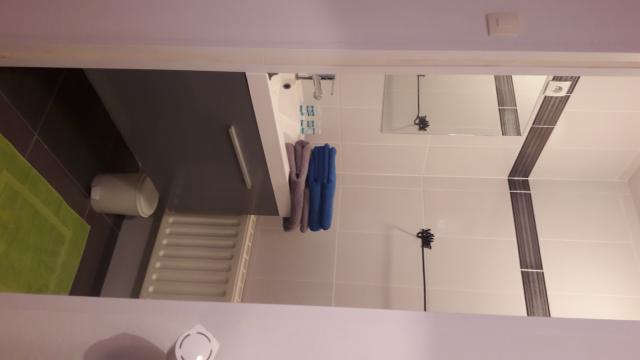 Location maison F7 Plougastel Daoulas - Photo 7
