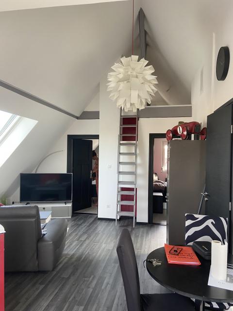 Location appartement T3 Illkirch Graffenstaden - Photo 3
