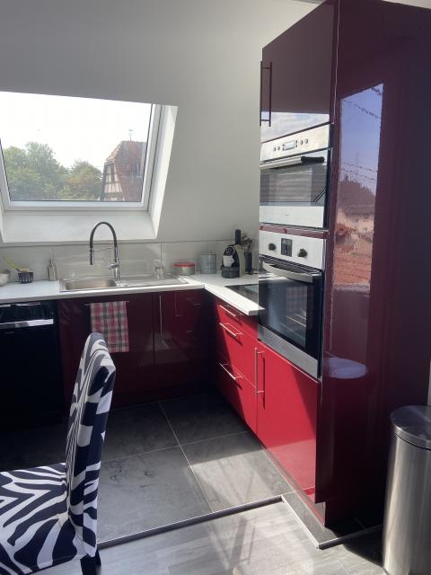 Location appartement T3 Illkirch Graffenstaden - Photo 4