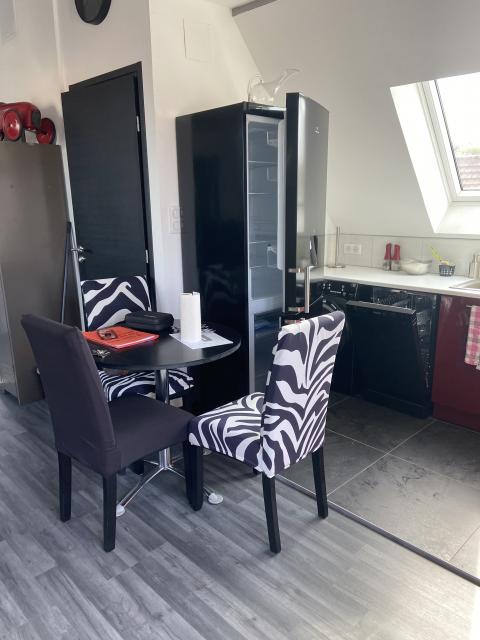 Location appartement T3 Illkirch Graffenstaden - Photo 5