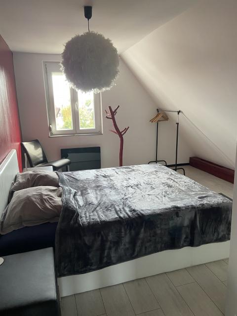 Location appartement T3 Illkirch Graffenstaden - Photo 6