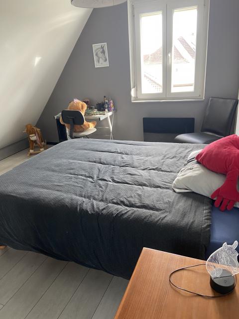 Location appartement T3 Illkirch Graffenstaden - Photo 7