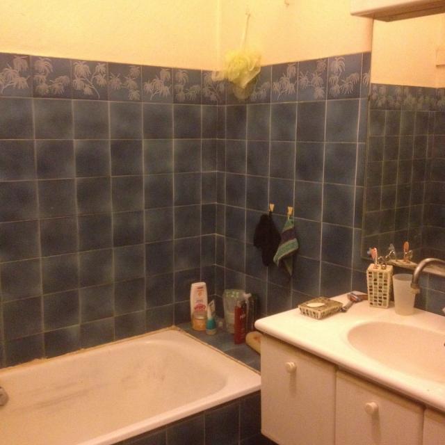Location appartement T2 Lyon 7 - Photo 5