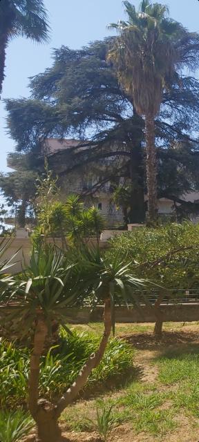 Location appartement T2 Nice - Photo 2