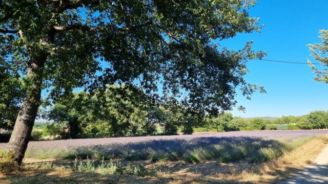 Location maison F3 Aix en Provence - Photo 5