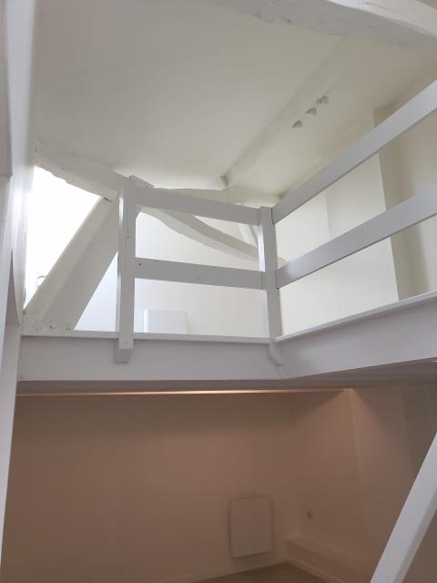 Location appartement T3 Nantes - Photo 6