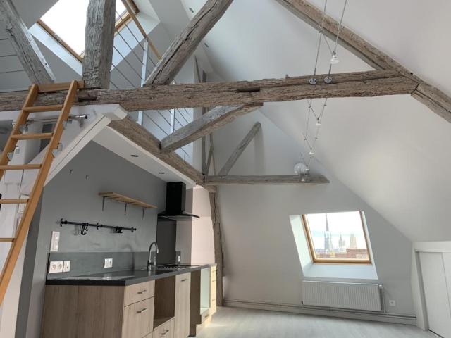 Location appartement T2 Rouen - Photo 4