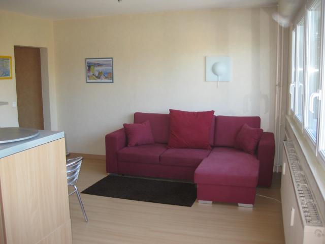 Location appartement T1 Mulhouse - Photo 2