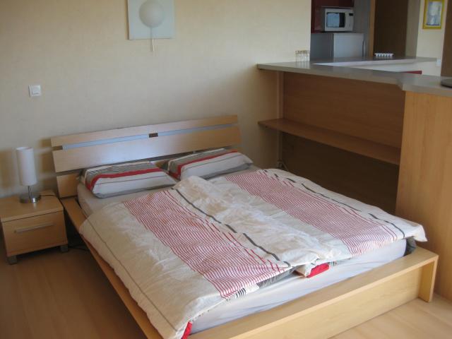 Location appartement T1 Mulhouse - Photo 3