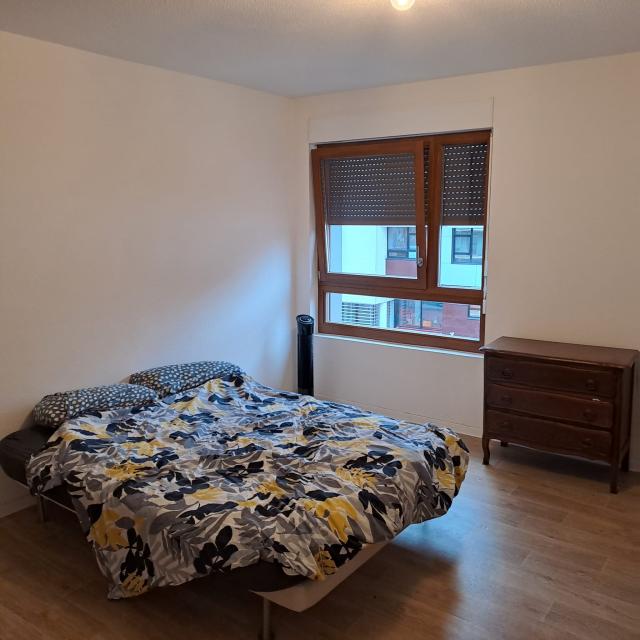 Location appartement T2 Strasbourg - Photo 2