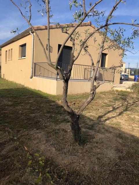 Location maison F3 Vaison la Romaine - Photo 2