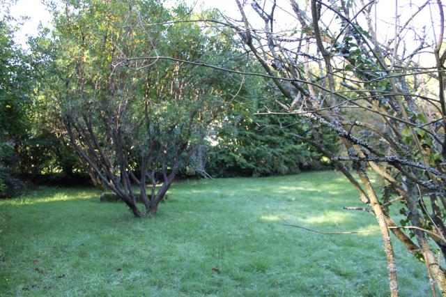 Location maison F7 Brest - Photo 3