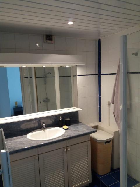 Location appartement T3 Grenoble - Photo 7