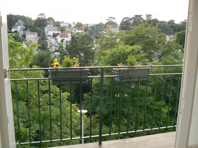 Location appartement T2 St Cyr sur Loire - Photo 2