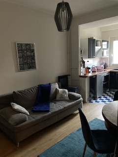 Location appartement T3 Strasbourg - Photo 2