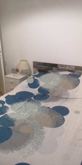 Location appartement T5 Toulouse - Photo 7