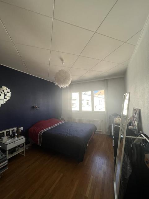 Location appartement T3 Lyon 7 - Photo 4